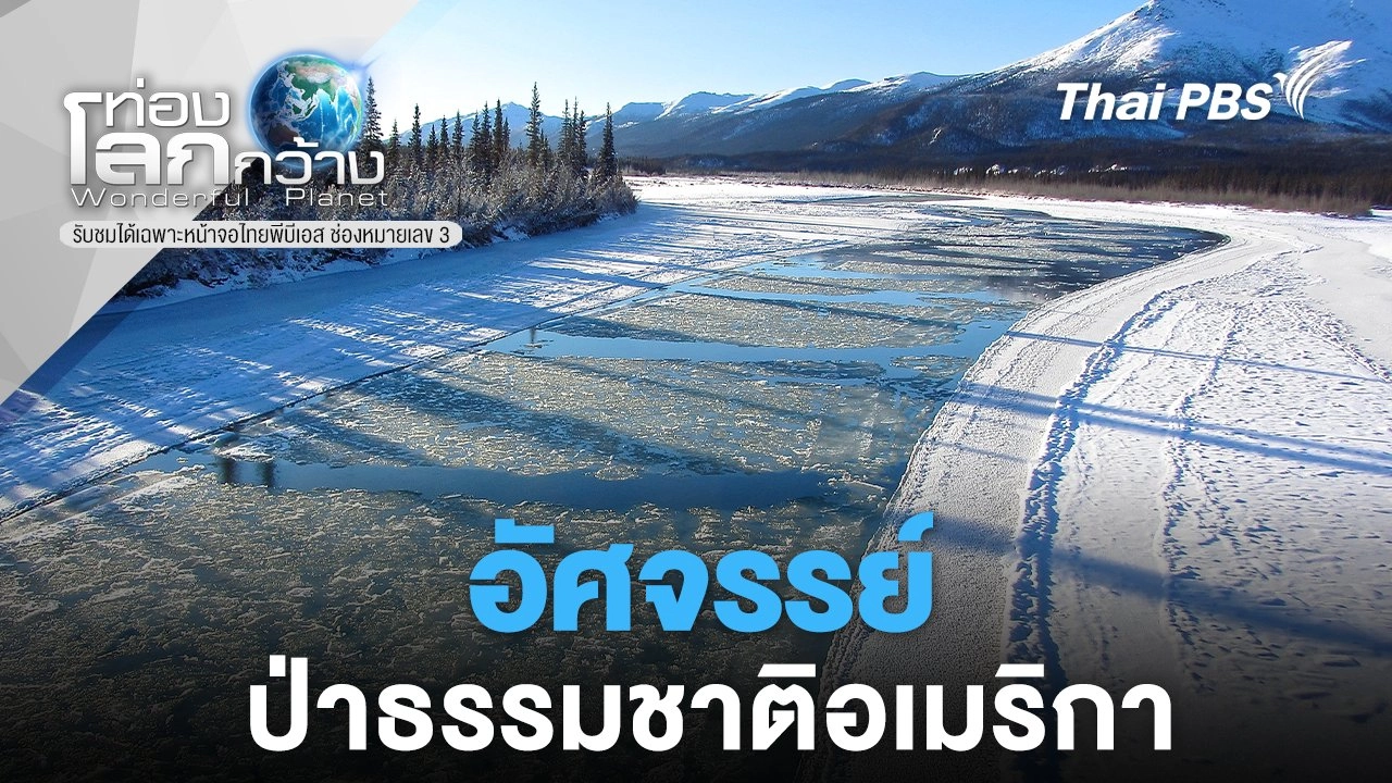 อัศจรรย์ป่าธรรมชาติอเมริกา