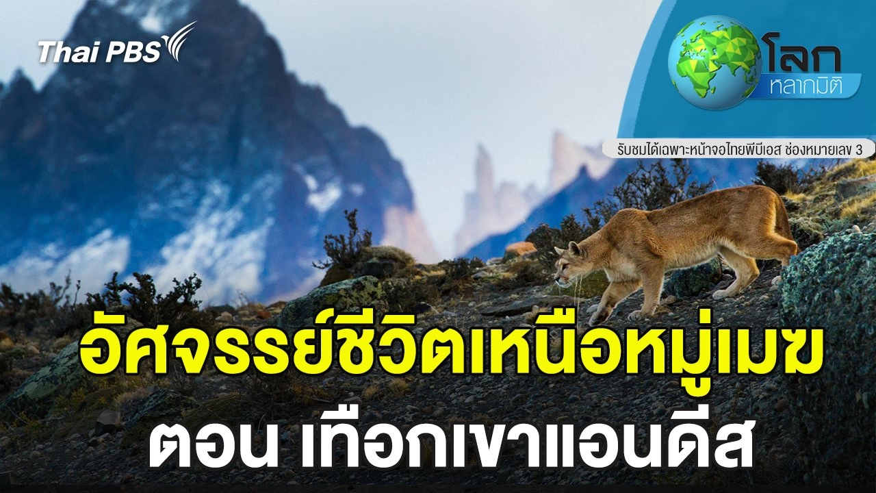 อัศจรรย์ชีวิตเหนือหมู่เมฆ ตอน เทือกเขาแอนดีส