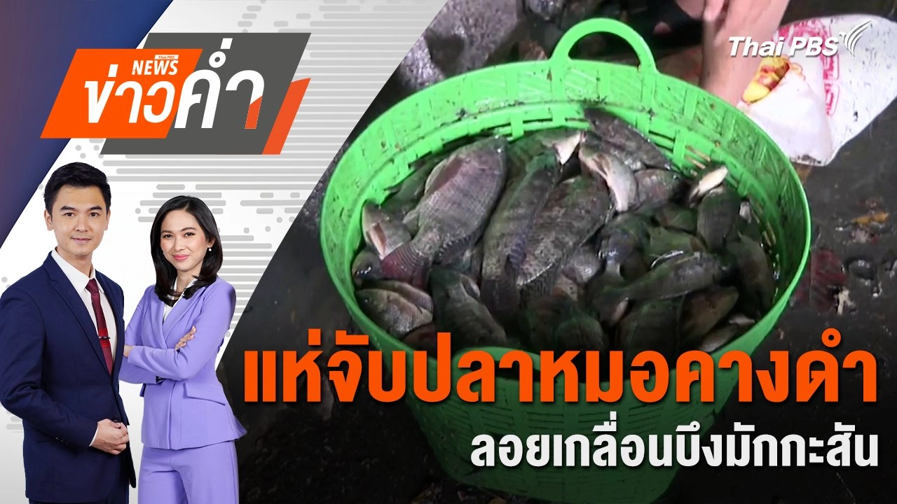แห่จับปลาหมอคางดำลอยเกลื่อนบึงมักกะสัน | 15 ก.ค. 67
