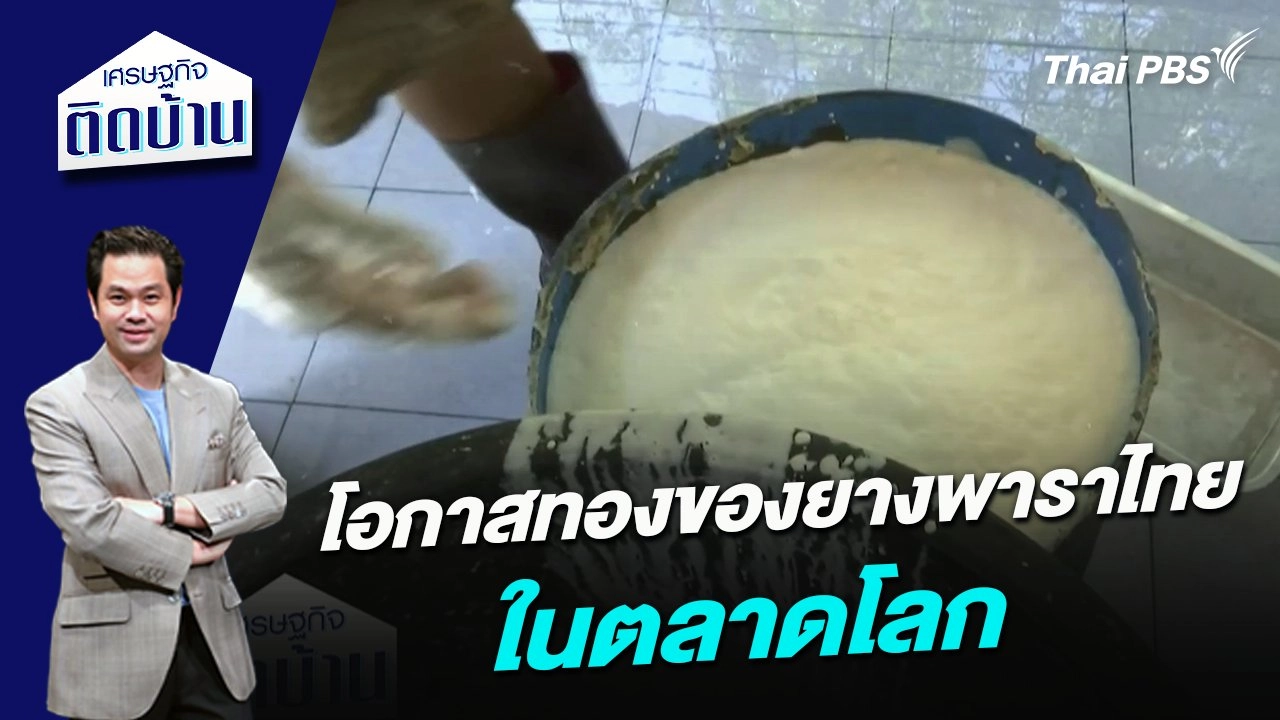 โอกาสทองของยางพาราไทยในตลาดโลก