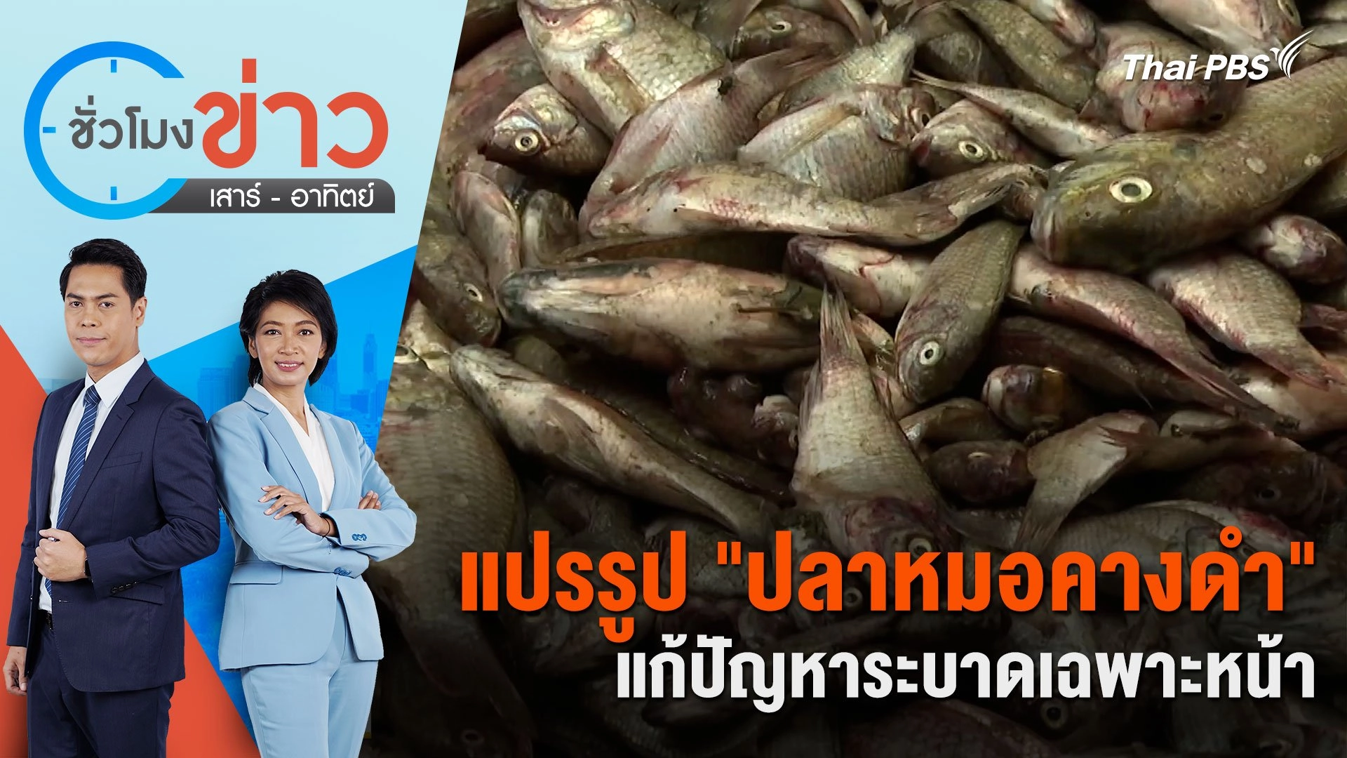 แปรรูป "ปลาหมอคางดำ" แก้ปัญหาระบาดเฉพาะหน้า | ชั่วโมงข่าว เสาร์ - อาทิตย์ | 14 ก.ค. 67