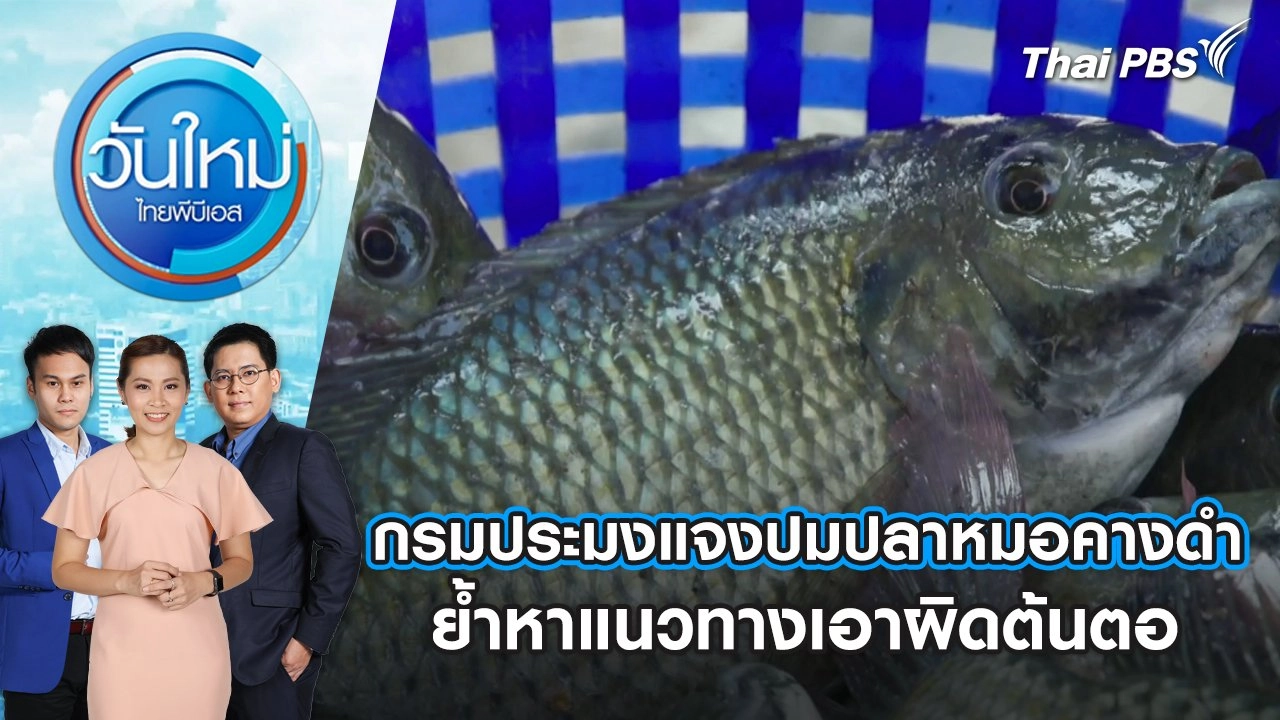 กรมประมงแจงปมปลาหมอคางดำ ย้ำหาแนวทางเอาผิดต้นตอ | วันใหม่ ไทยพีบีเอส | 19 ก.ค. 67