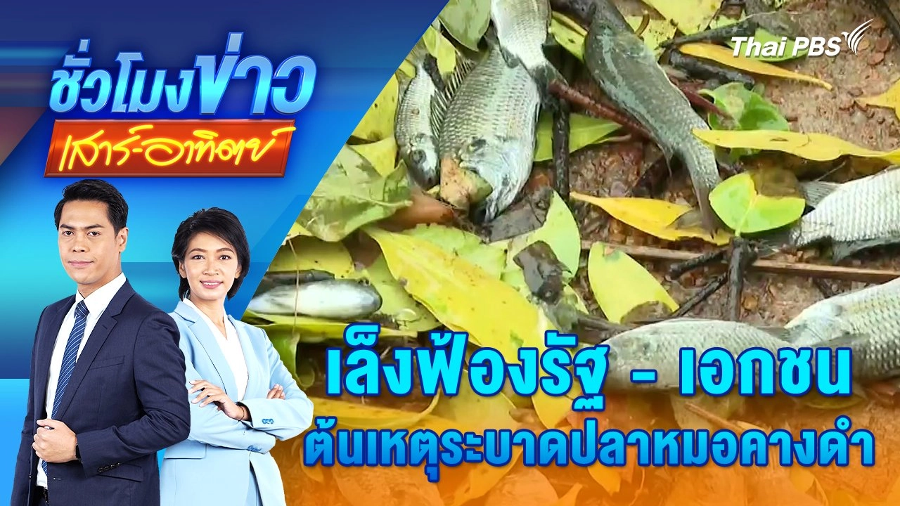 เล็งฟ้องรัฐ - เอกชน ต้นเหตุระบาดปลาหมอคางดำ | ชั่วโมงข่าว เสาร์ - อาทิตย์ | 27 ก.ค. 67