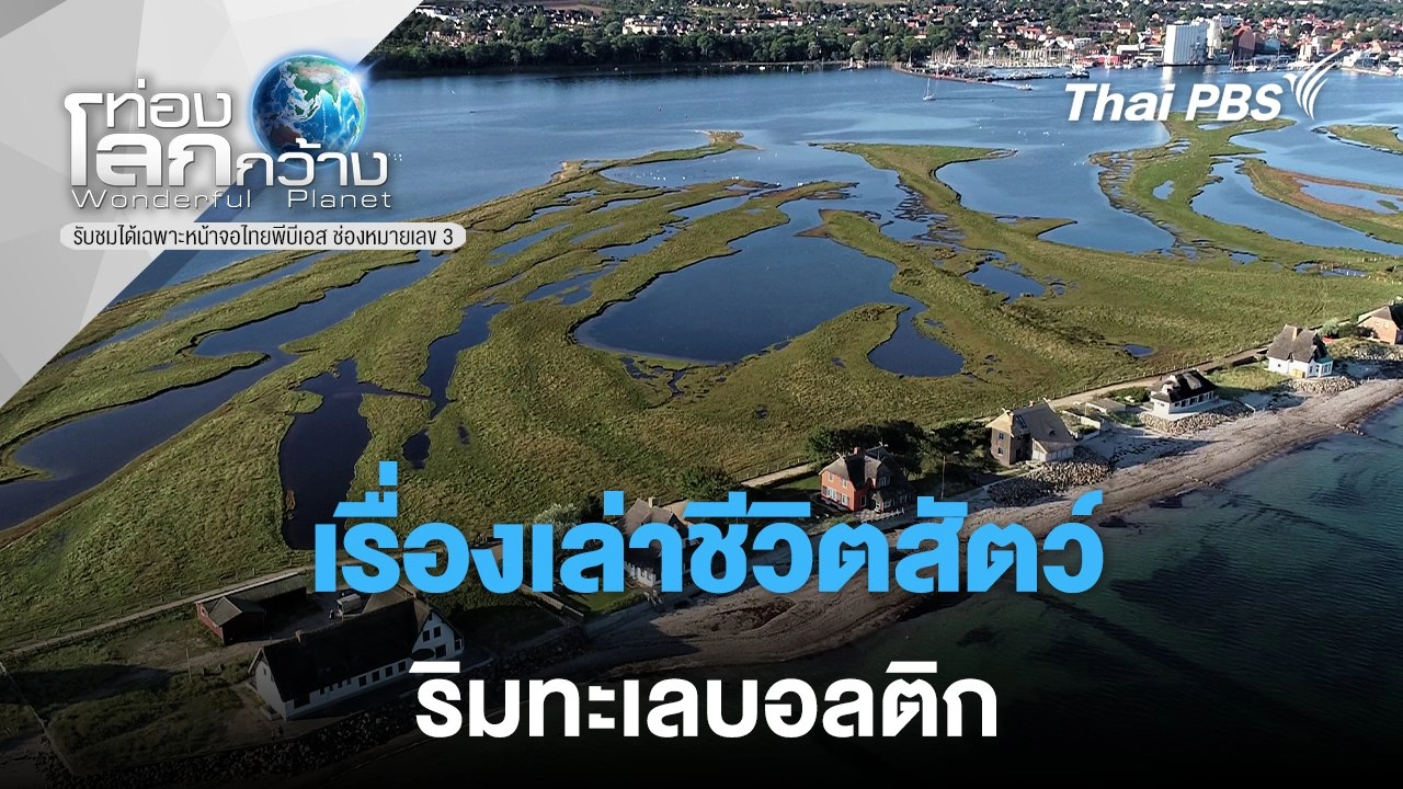 เรื่องเล่าชีวิตสัตว์ริมทะเลบอลติก