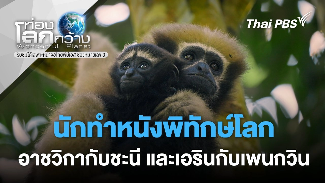 นักทำหนังพิทักษ์โลก ตอน อาชวิกากับชะนี และเอรินกับเพนกวิน