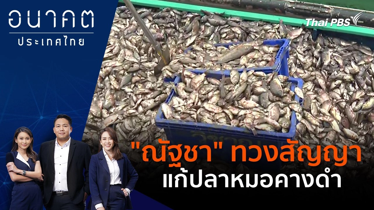 "ณัฐชา" ทวงสัญญาแก้ปลาหมอคางดำ