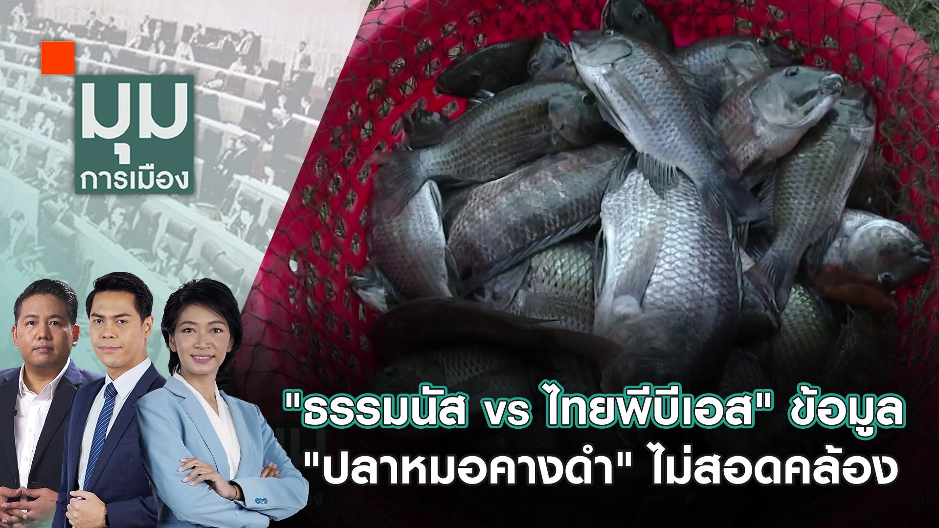 "ธรรมนัส vs ไทยพีบีเอส" ข้อมูล "ปลาหมอคางดำ" ไม่สอดคล้อง | 6 ส.ค. 67