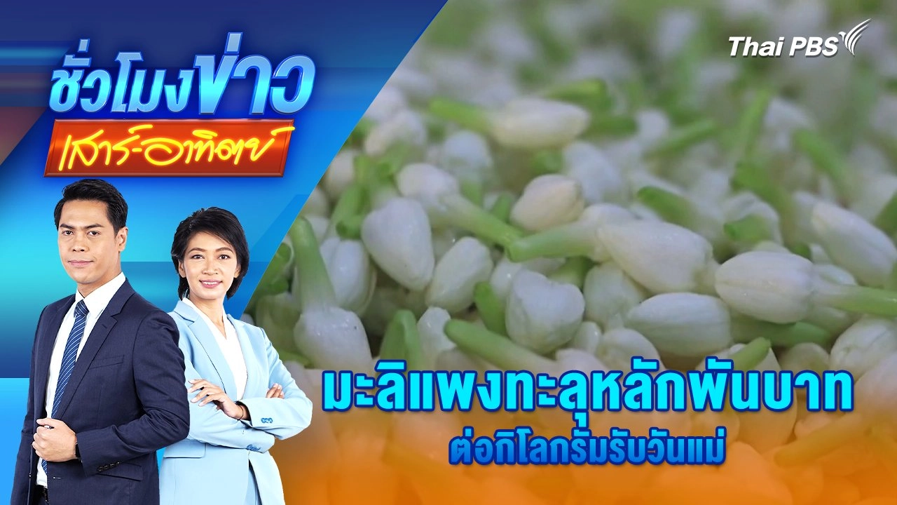 มะลิแพงทะลุหลักพันบาทต่อกิโลกรัมรับวันแม่ | ชั่วโมงข่าว เสาร์ - อาทิตย์ | 11 ส.ค. 67