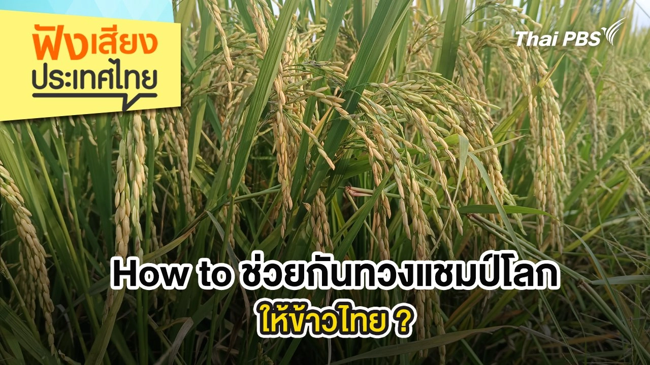 How to ช่วยกันทวงแชมป์โลก ให้ข้าวไทย ?