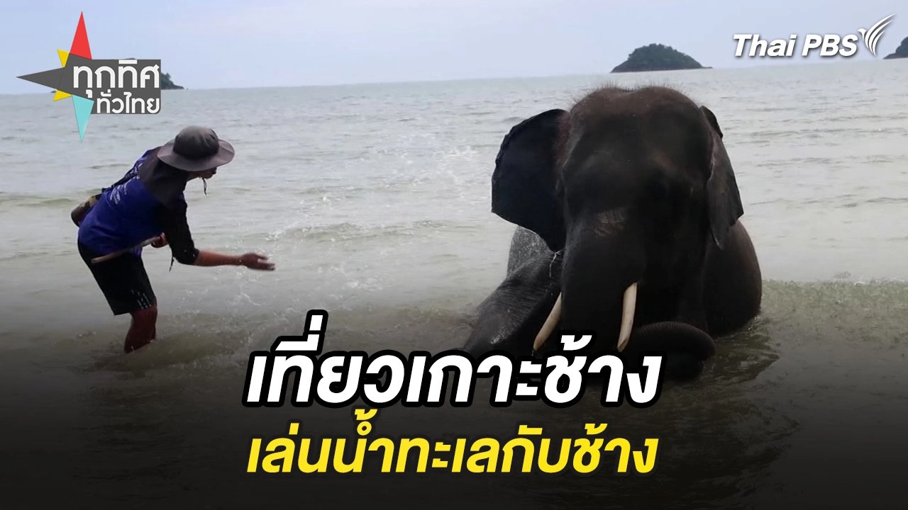 เที่ยวเกาะช้างเล่นน้ำทะเลกับช้าง จ.ตราด