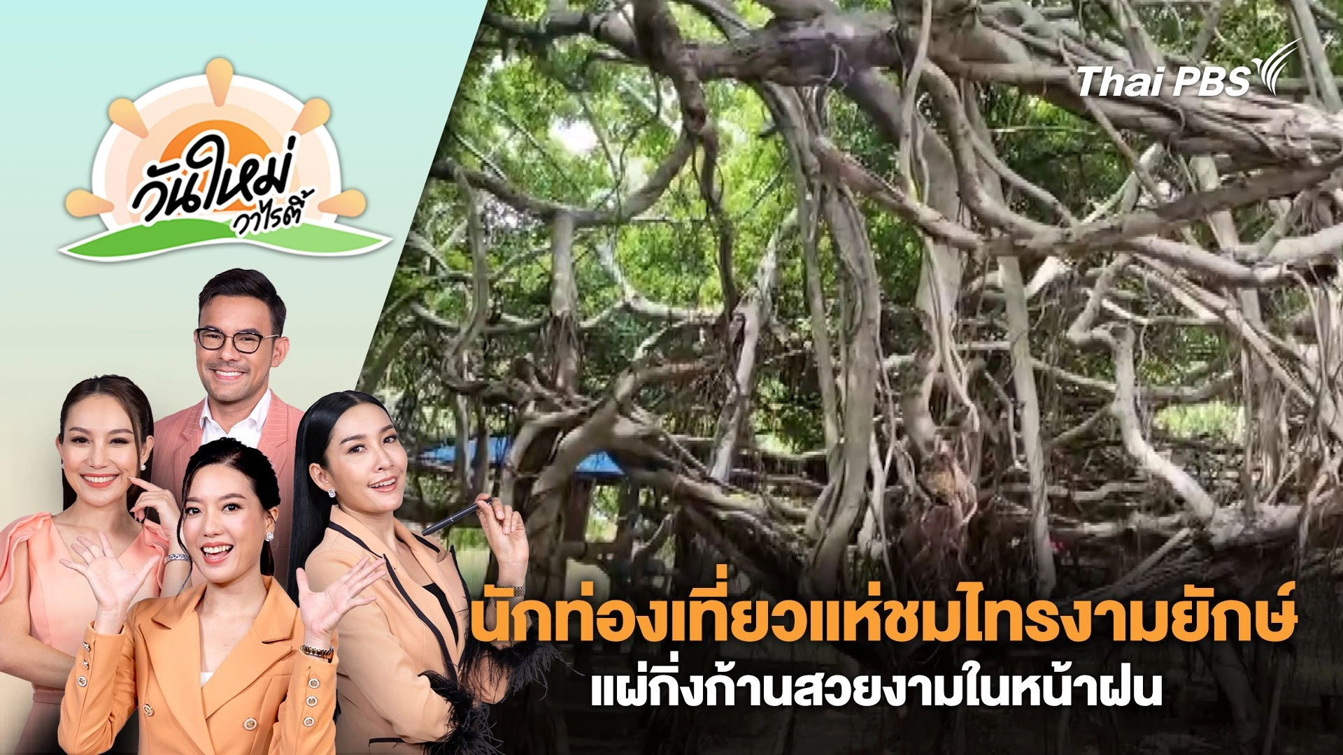 นักท่องเที่ยวแห่ชมไทรงามยักษ์แผ่กิ่งก้านสวยงามในหน้าฝน | วันใหม่วาไรตี้ | 21 ส.ค. 67