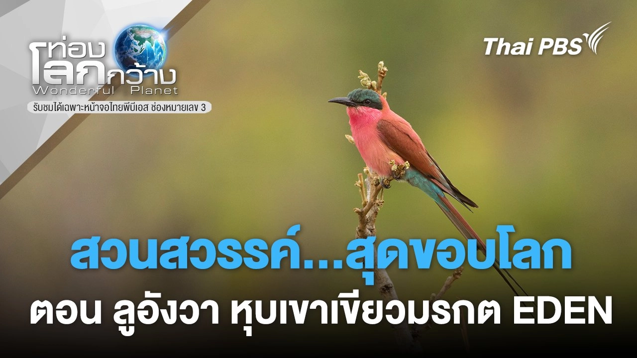 สวนสวรรค์...สุดขอบโลก ตอน ลูอังวา หุบเขาเขียวมรกต