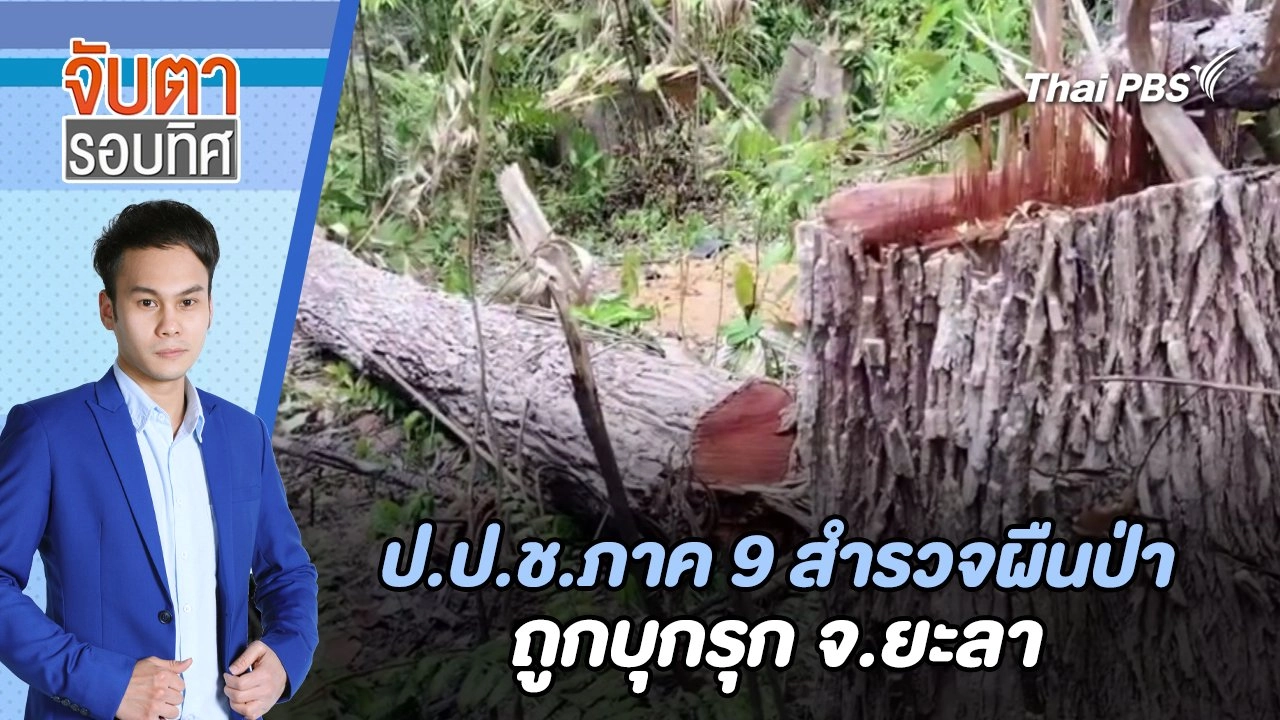 ป.ป.ช.ภาค 9 สำรวจผืนป่าถูกบุกรุก จ.ยะลา | จับตารอบทิศ | 20 ส.ค. 67