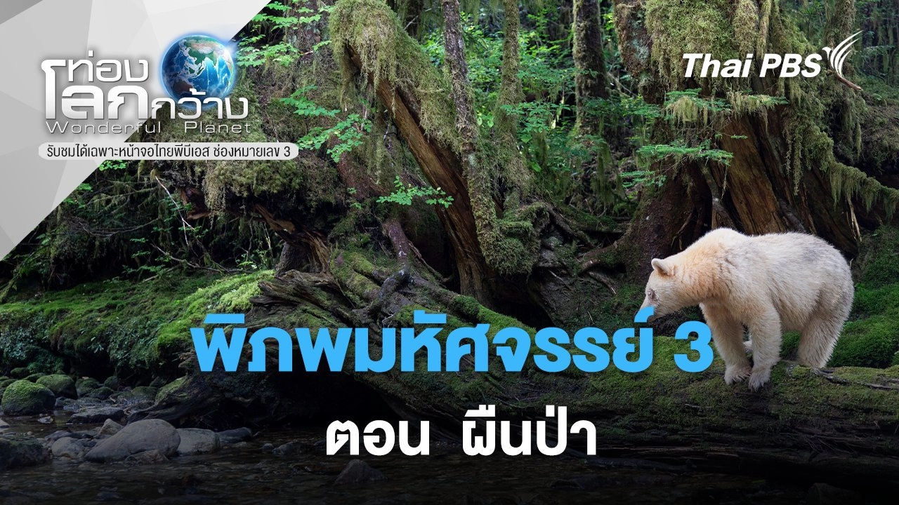 พิภพมหัศจรรย์ 3 ตอน ผืนป่า