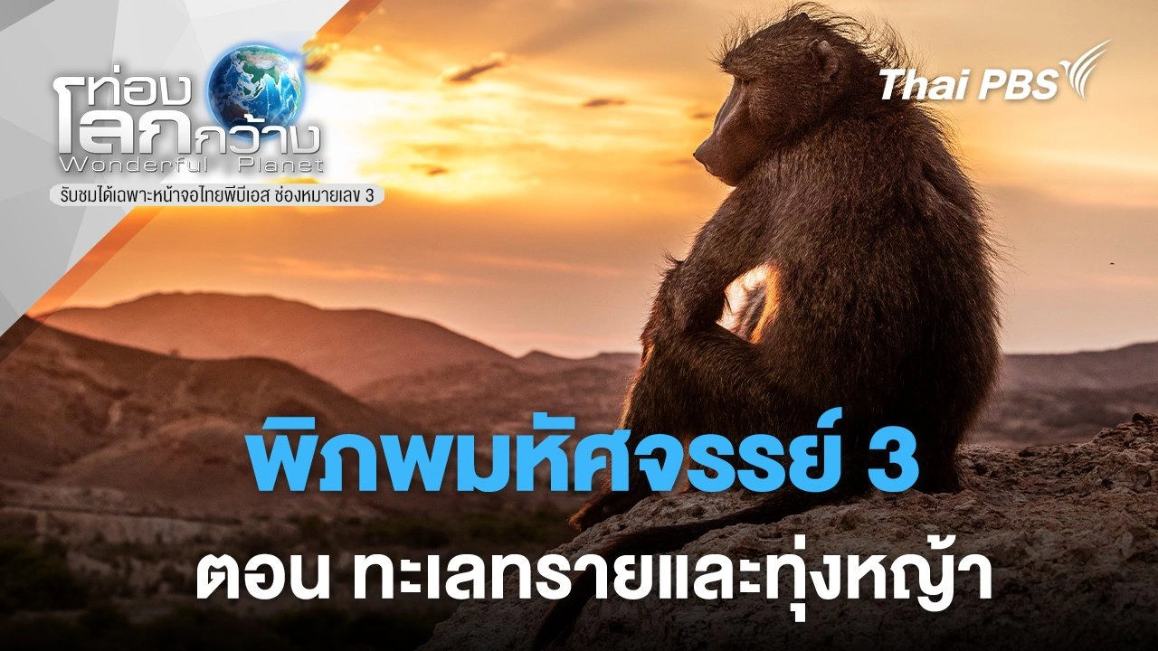 พิภพมหัศจรรย์ 3 ตอน  ทะเลทรายและทุ่งหญ้า
