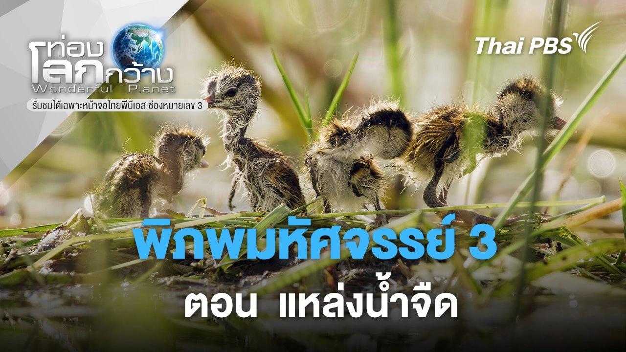 พิภพมหัศจรรย์ 3 ตอน แหล่งน้ำจืด