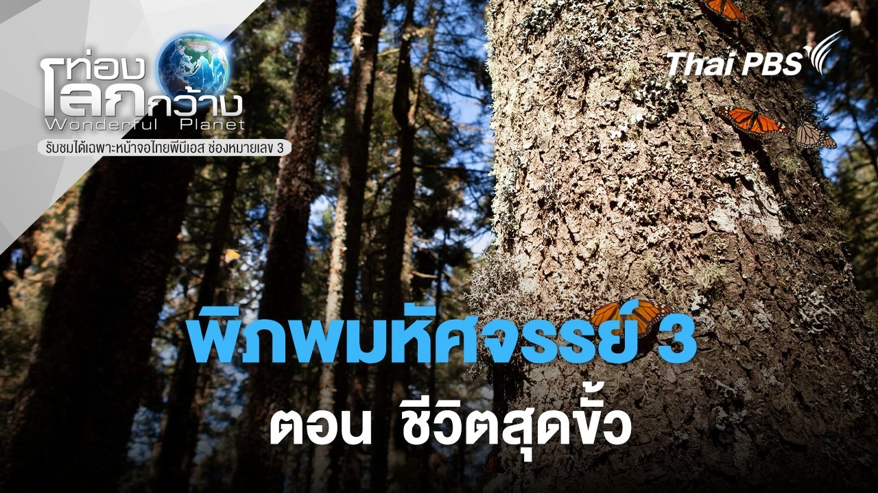 พิภพมหัศจรรย์ 3 ตอน ชีวิตสุดขั้ว