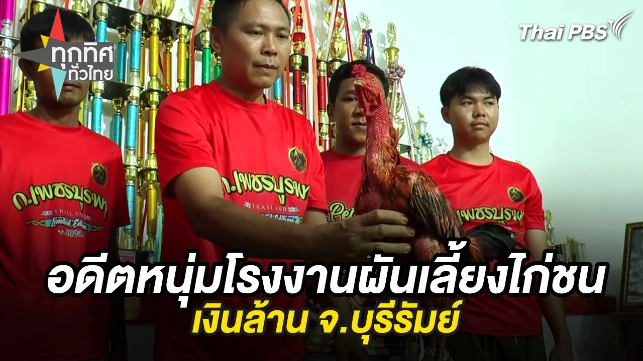 อดีตหนุ่มโรงงานผันเลี้ยงไก่ชนเงินล้าน จ.บุรีรัมย์