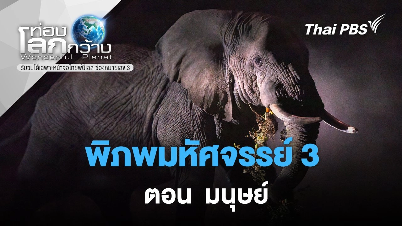 พิภพมหัศจรรย์ 3 ตอน มนุษย์