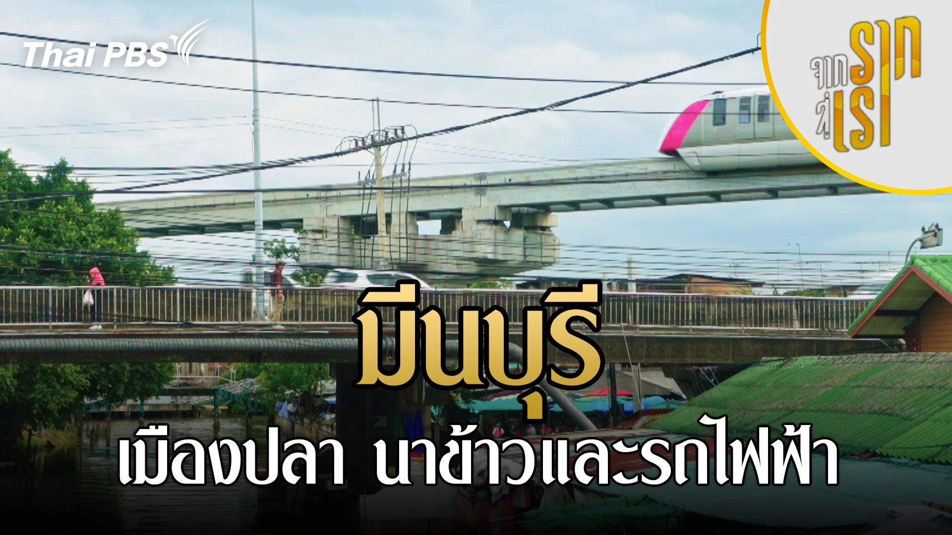 มีนบุรี เมืองปลา นาข้าวและรถไฟฟ้า