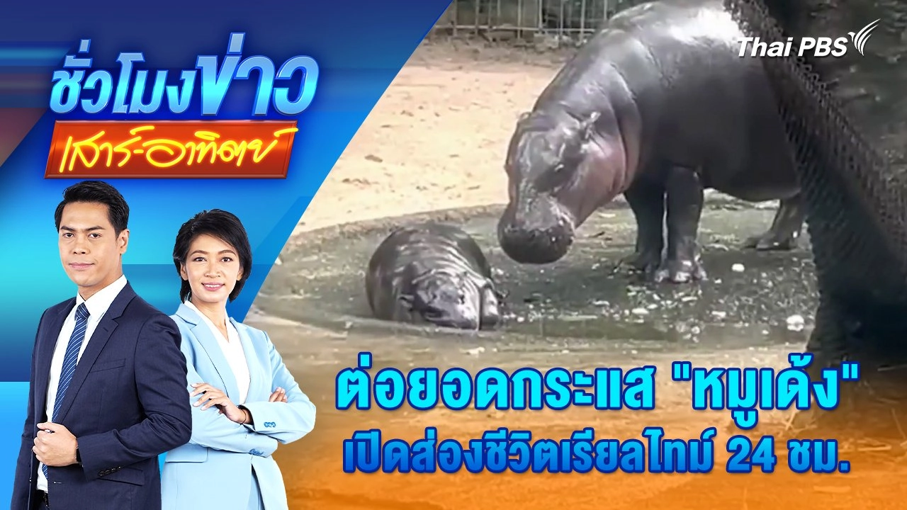 ต่อยอดกระแส "หมูเด้ง" เปิดส่องชีวิตเรียลไทม์ 24 ชม. | ชั่วโมงข่าว เสาร์ - อาทิตย์ | 22 ก.ย. 67