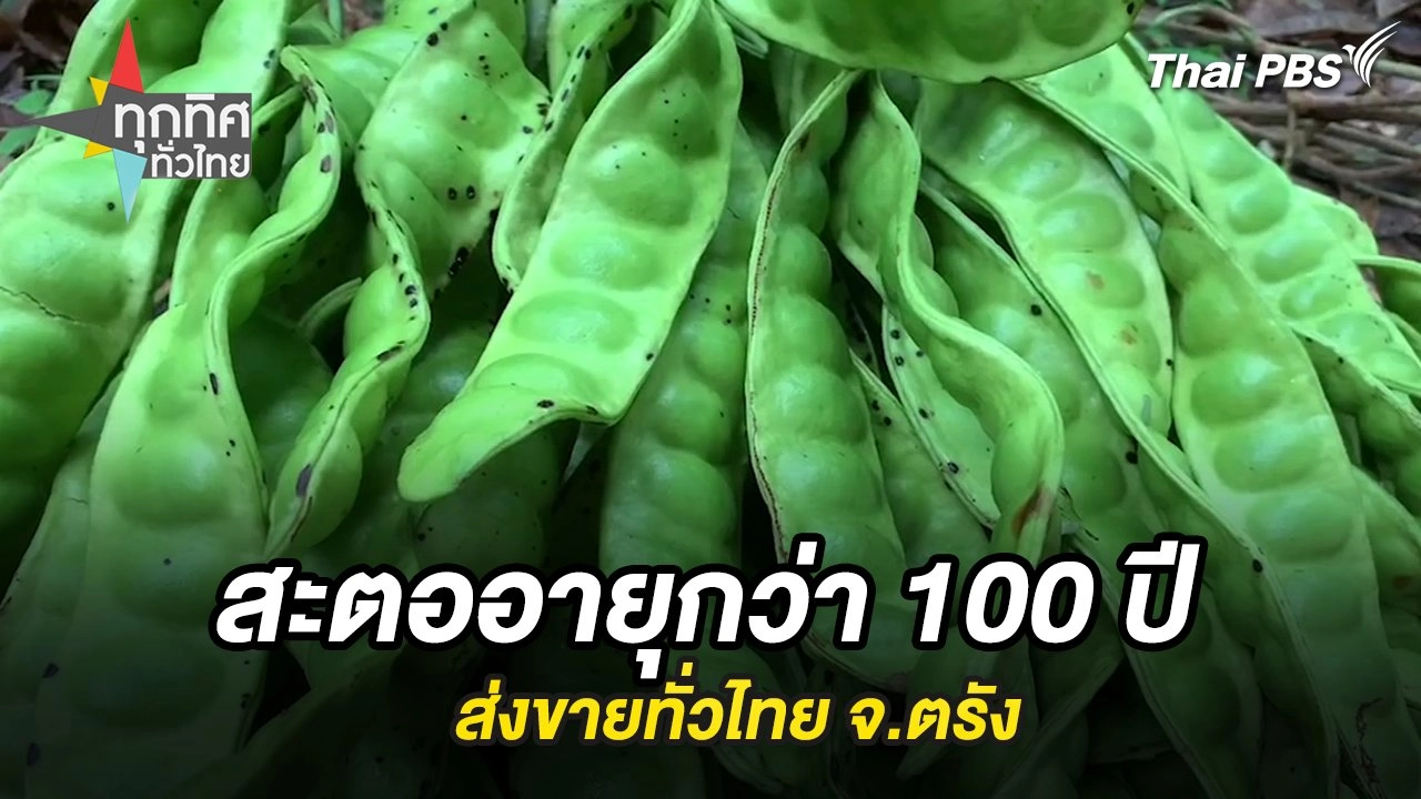 สะตออายุกว่า 100 ปีส่งขายทั่วไทย จ.ตรัง