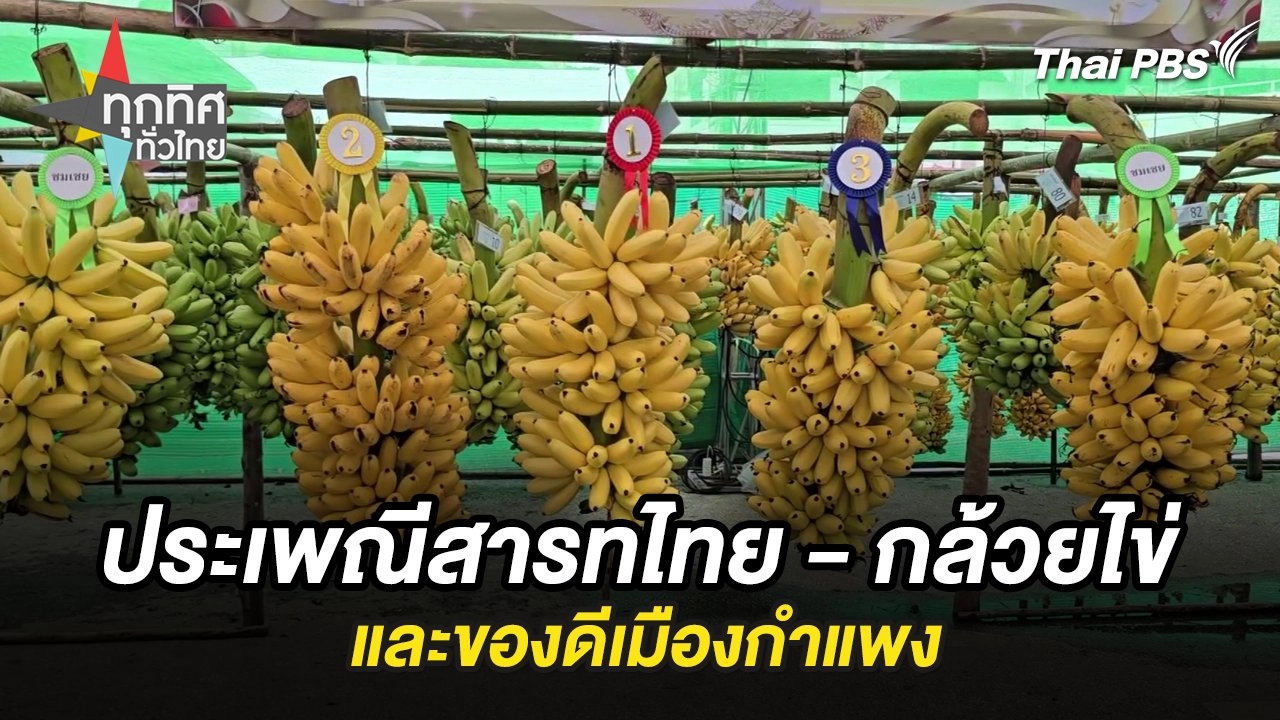 ประเพณีสารทไทย - กล้วยไข่และของดีเมืองกำแพง