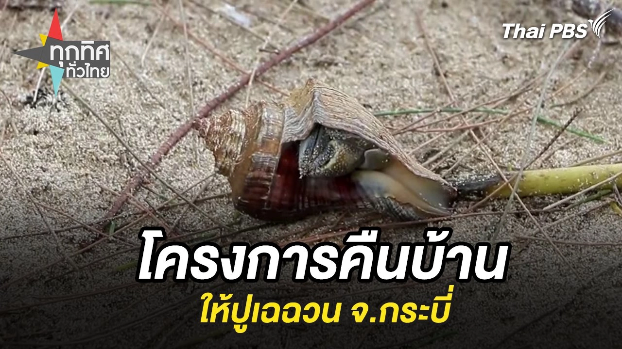 โครงการคืนบ้านให้ปูเฉฉวน จ.กระบี่