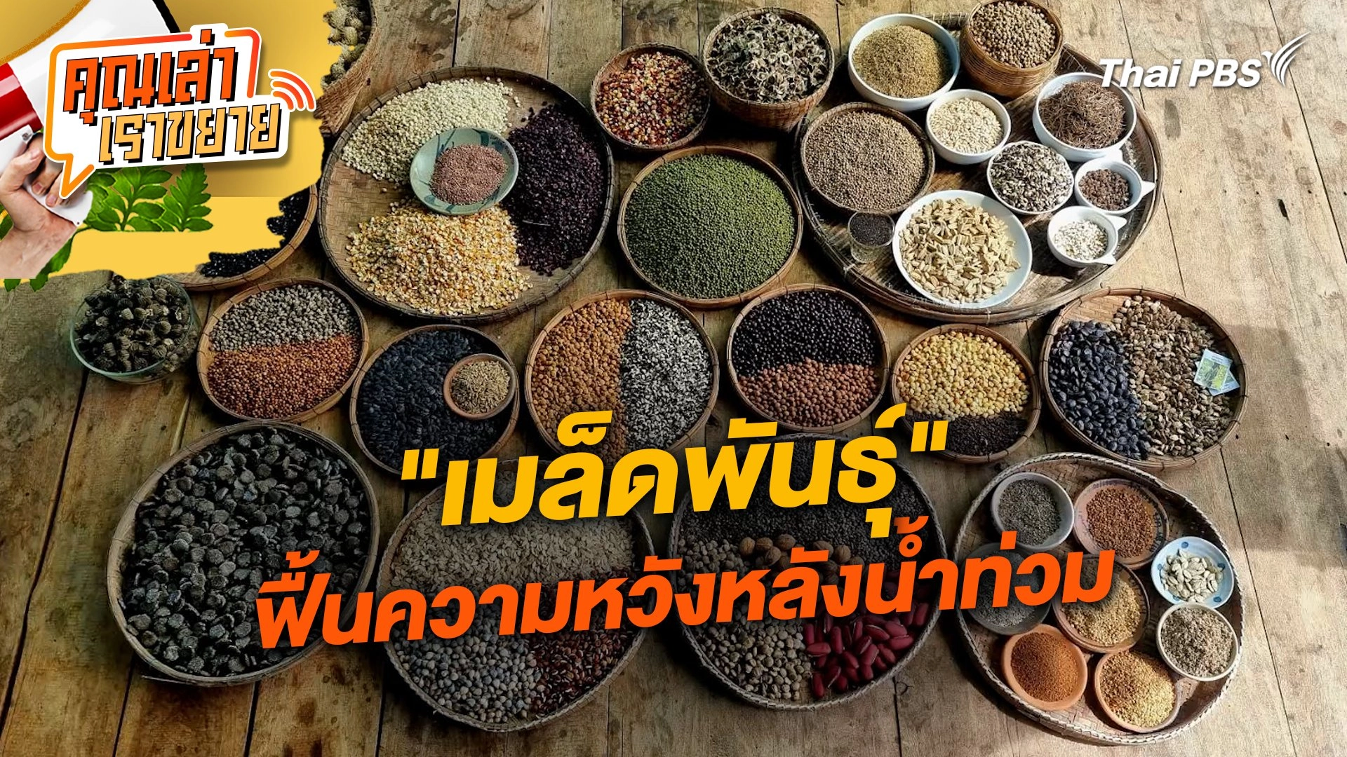 "เมล็ดพันธุ์" ฟื้นความหวังหลังน้ำท่วม