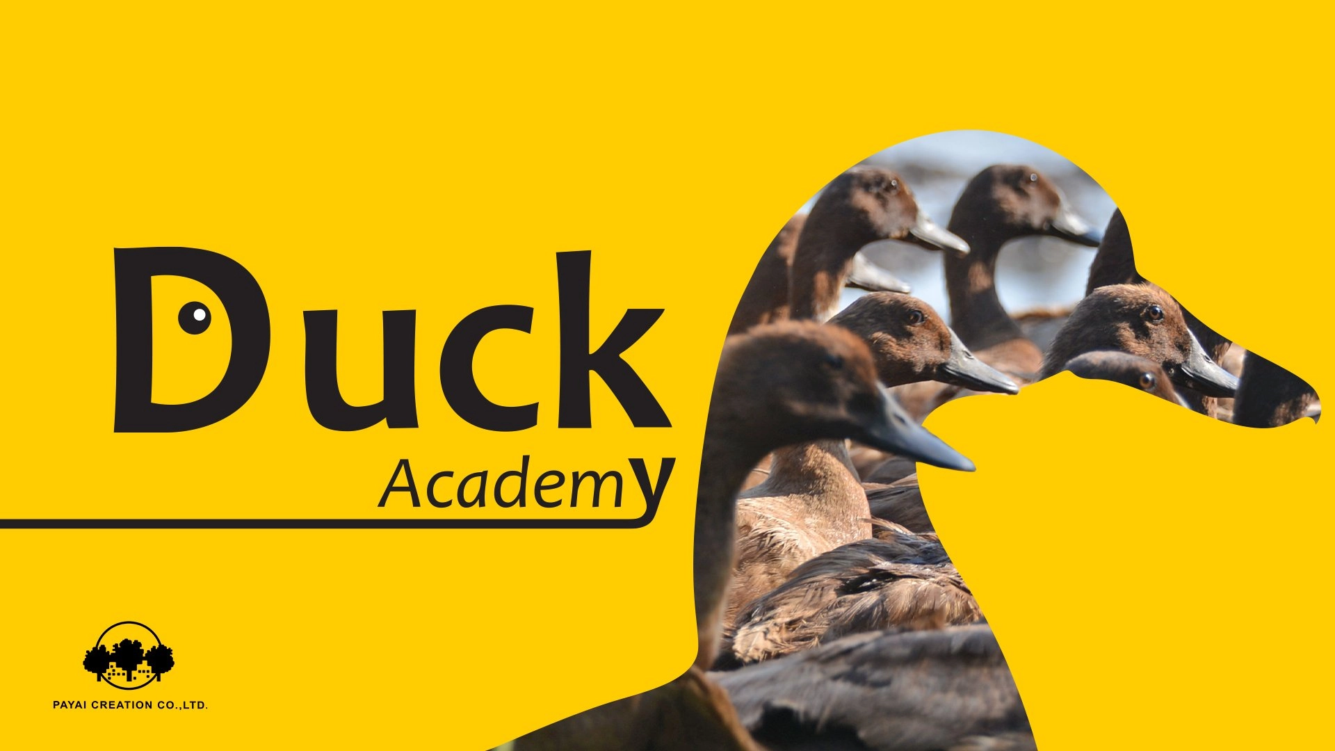Duck Academy
