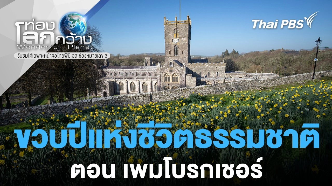 ขวบปีแห่งชีวิตธรรมชาติ ตอนที่ 1 เพมโบรกเชอร์