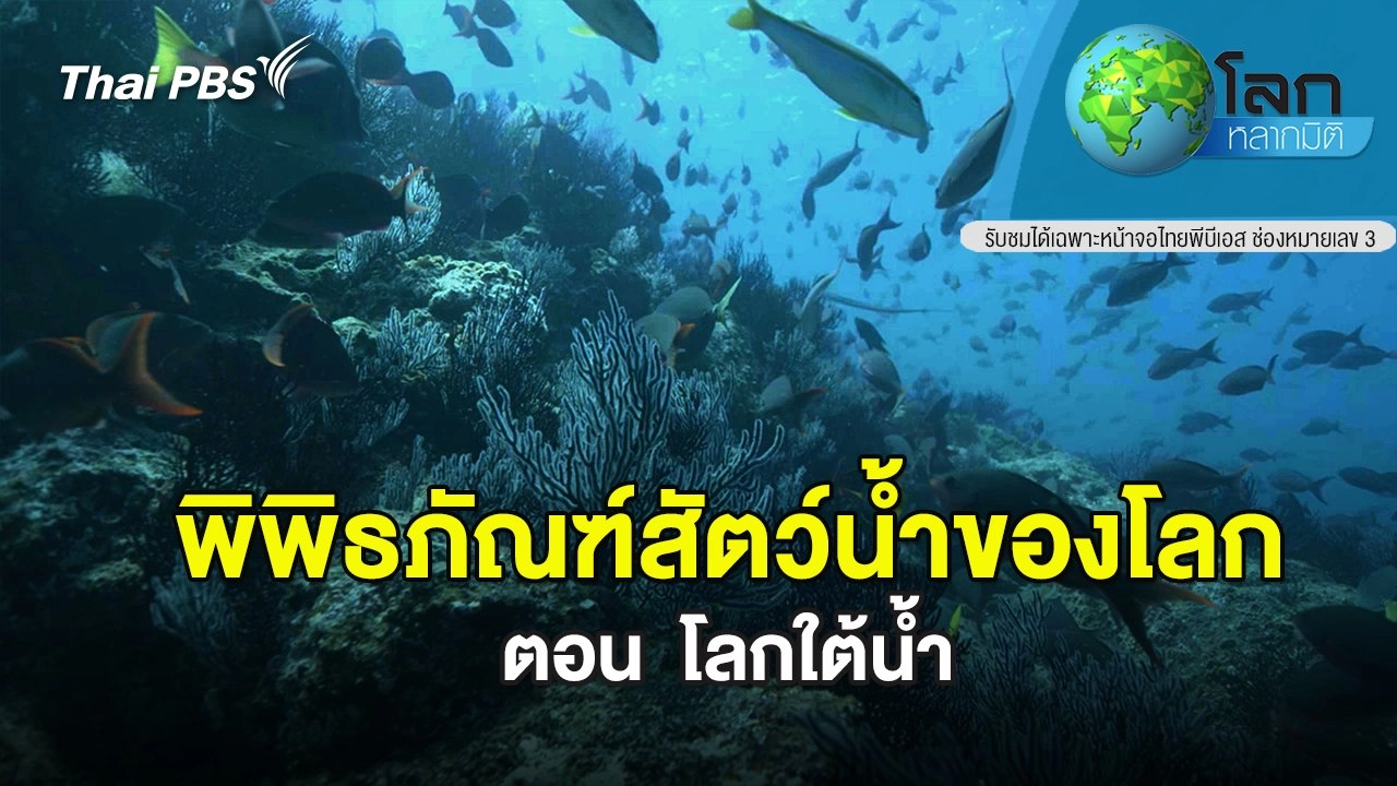พิพิธภัณฑ์สัตว์น้ำของโลก ตอนที่ 2 โลกใต้น้ำ