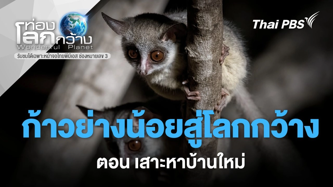 ก้าวย่างน้อยสู่โลกกว้าง ตอน เสาะหาบ้านใหม่