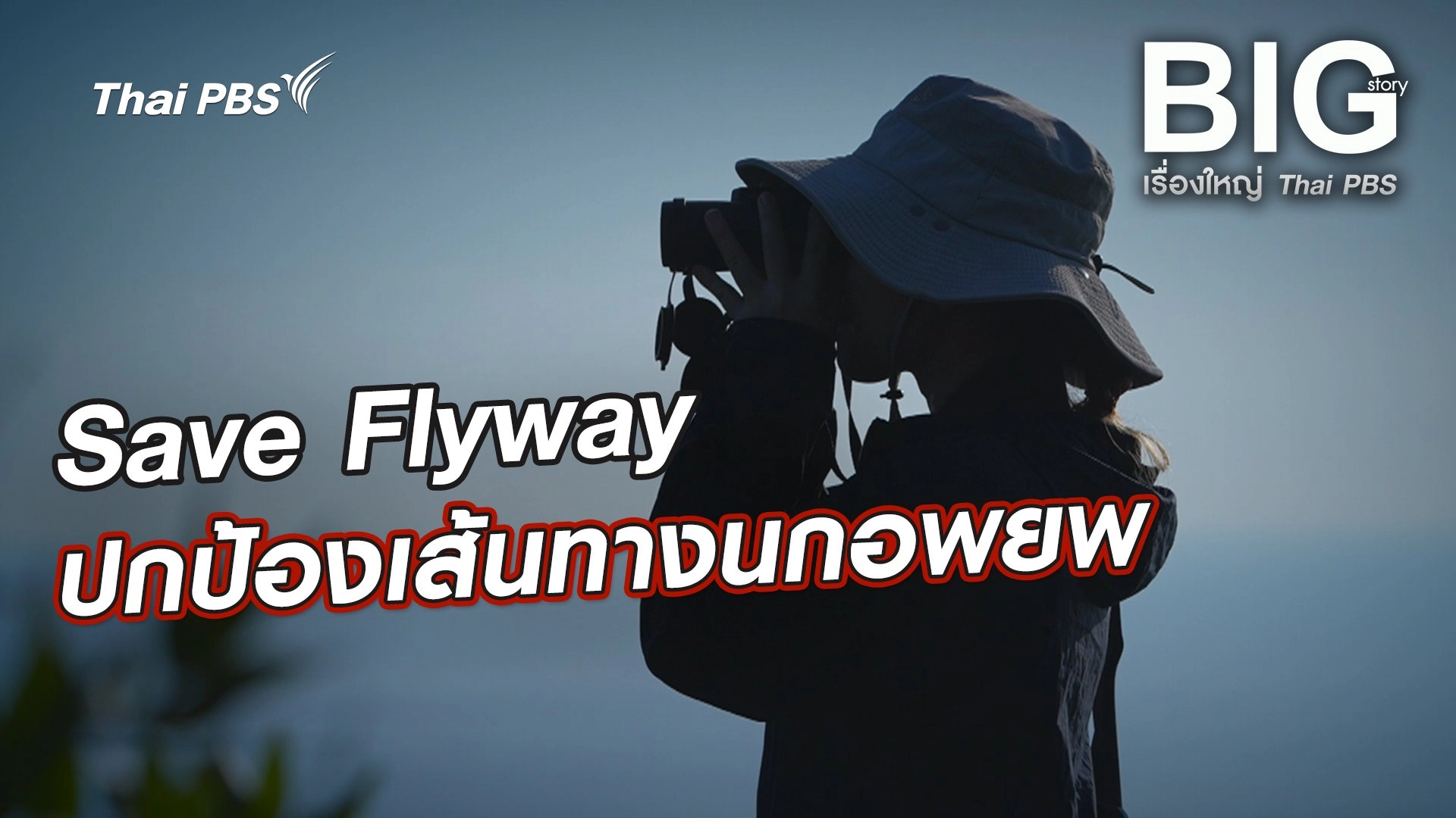 Save Flyway ปกป้องเส้นทางนกอพยพ
