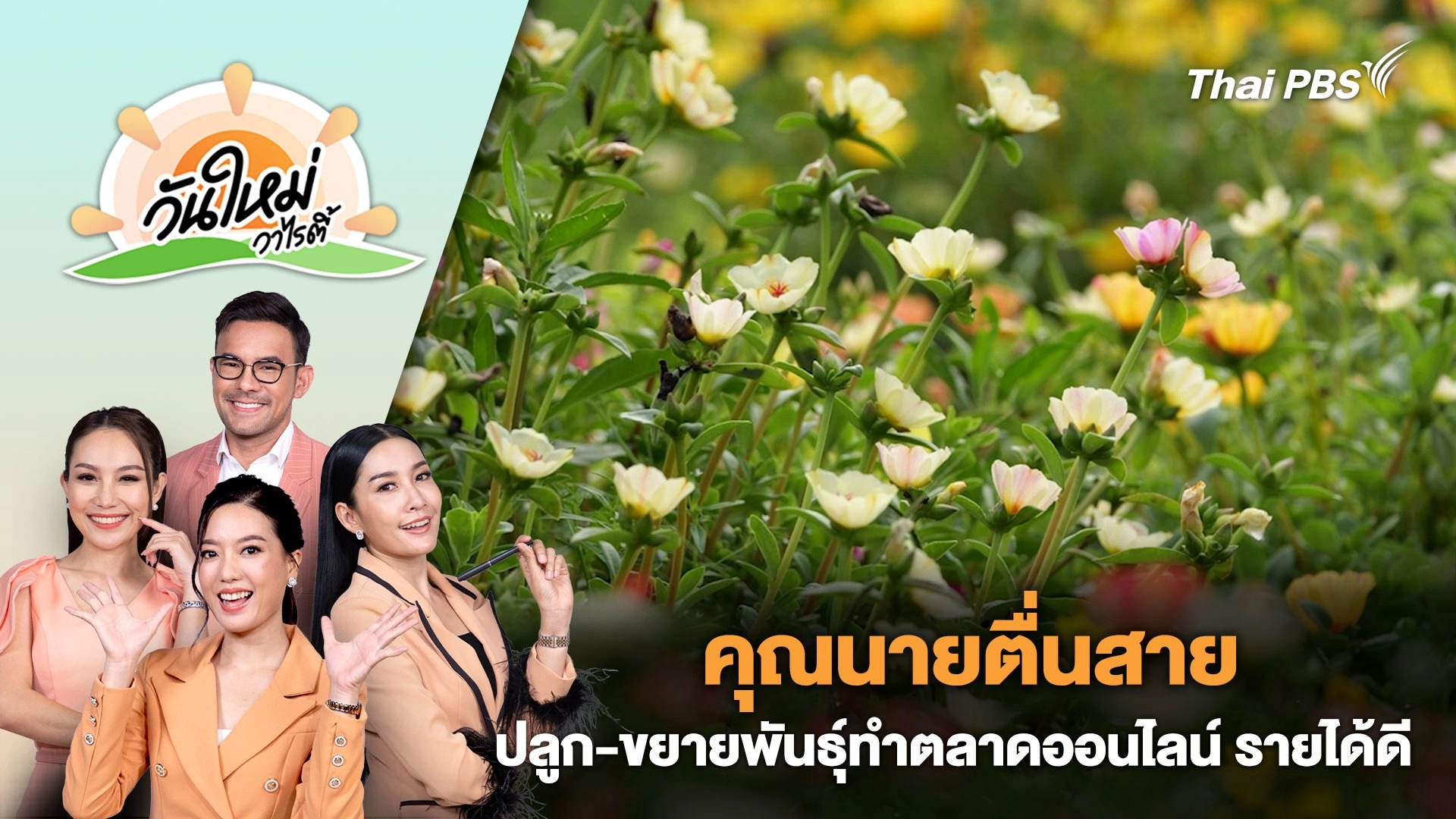 "คุณนายตื่นสาย" ปลูก - ขยายพันธุ์ทำตลาดออนไลน์ รายได้ดี | วันใหม่วาไรตี้ | 31 พ.ค. 67