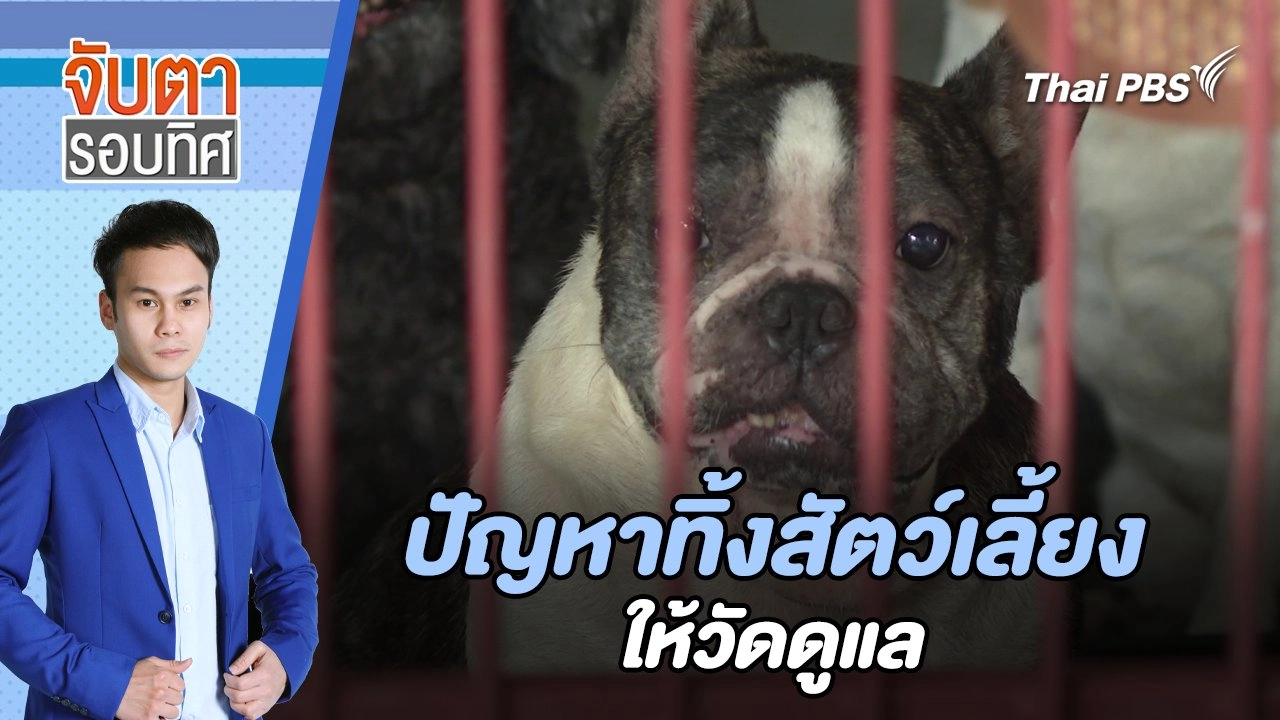 จับตารอบทิศ