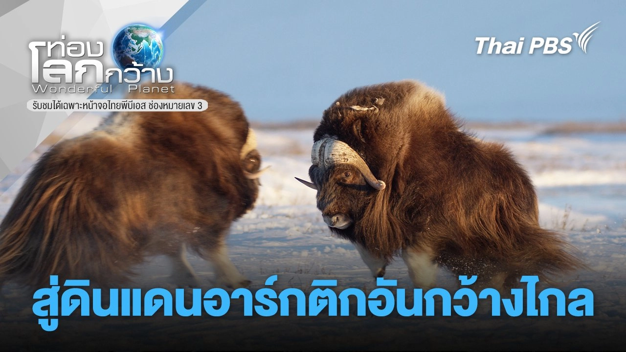 สู่ดินแดนอาร์กติกอันกว้างไกล