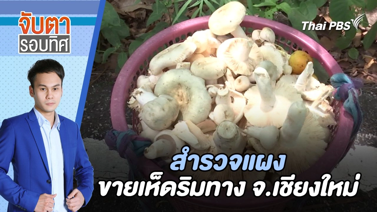 สำรวจแผงขายเห็ดริมทาง จ.เชียงใหม่ | จับตารอบทิศ | 11 มิ.ย. 67