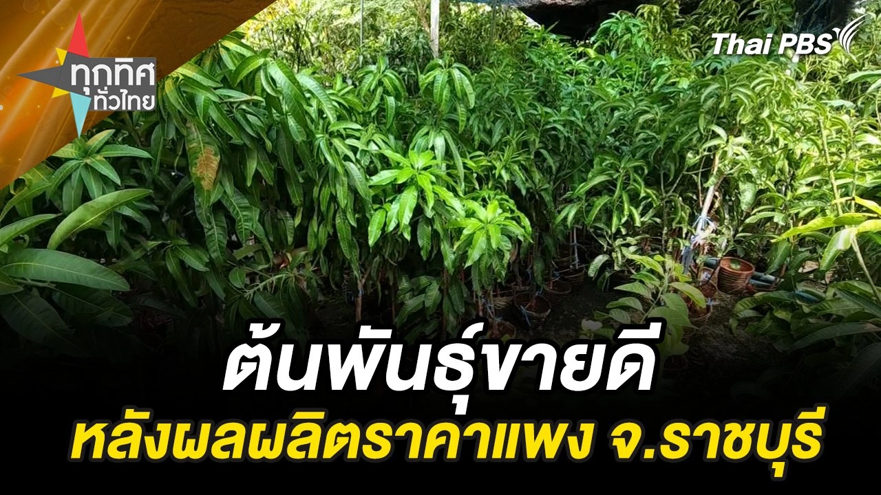 ต้นพันธุ์ขายดีหลังผลผลิตราคาแพง จ.ราชบุรี