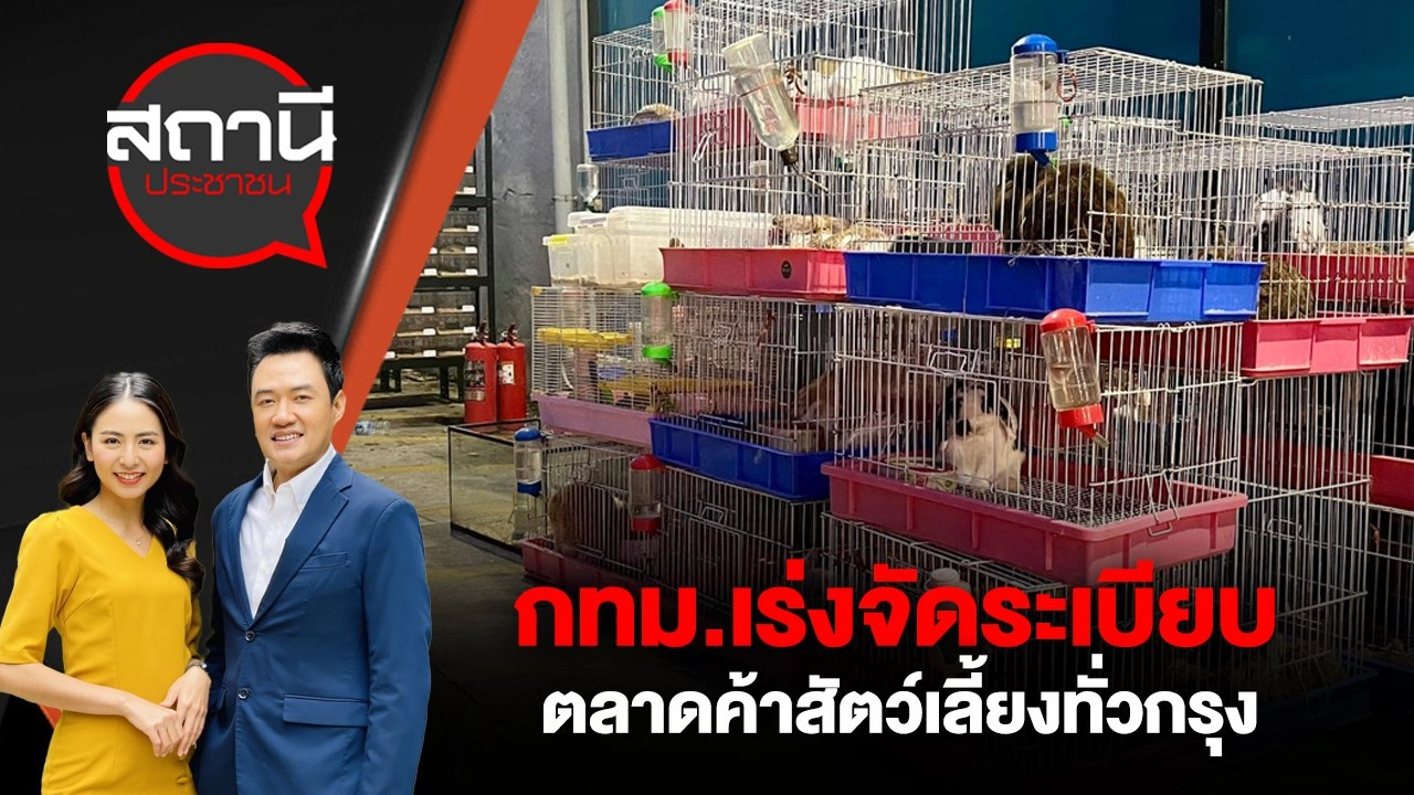 กทม.เร่งจัดระเบียบ ตลาดค้าสัตว์เลี้ยงทั่วกรุง