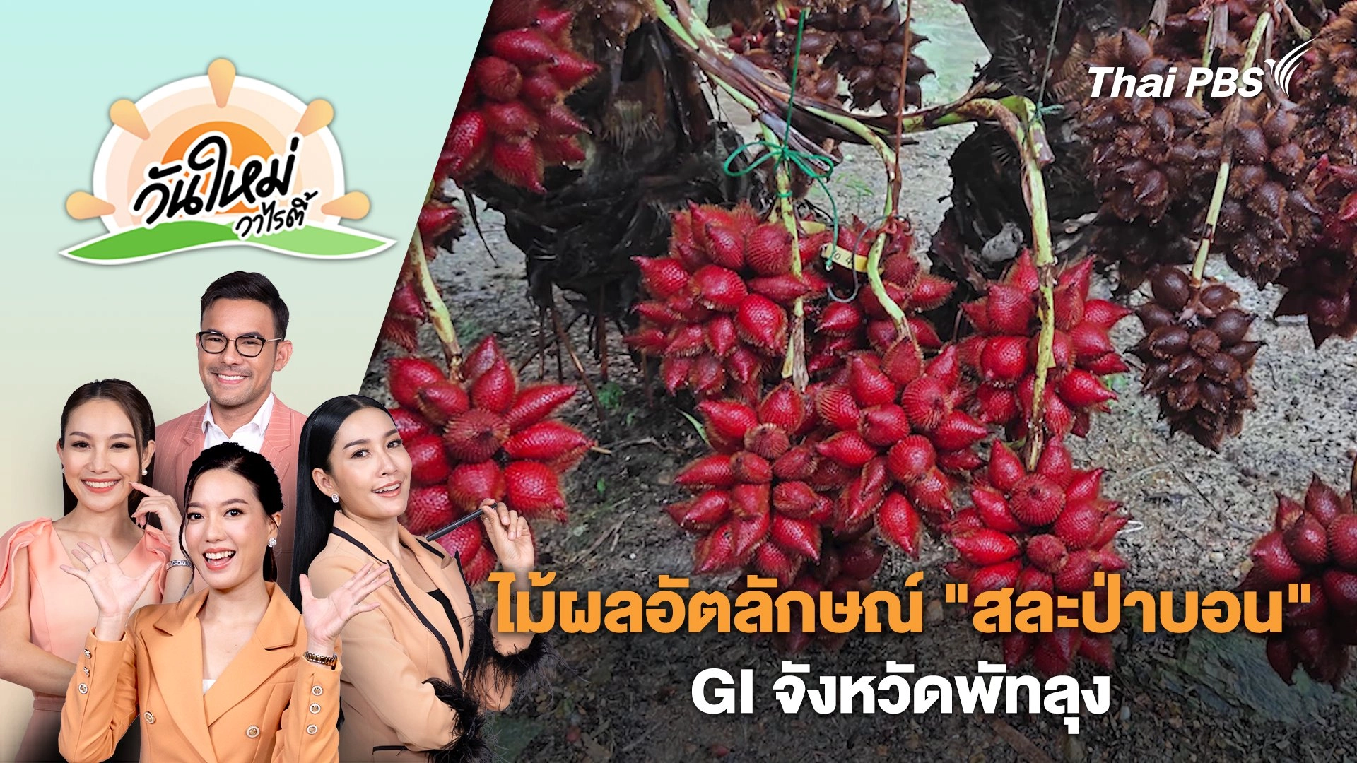 ไม้ผลอัตลักษณ์ "สละป่าบอน" GI จังหวัดพัทลุง | วันใหม่วาไรตี้ | 26 มิ.ย. 67