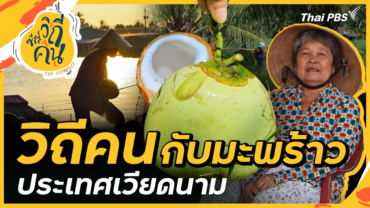 วิถีคนกับมะพร้าว ประเทศเวียดนาม