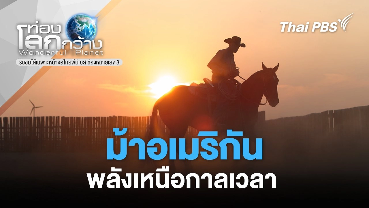 ม้าอเมริกัน พลังเหนือกาลเวลา