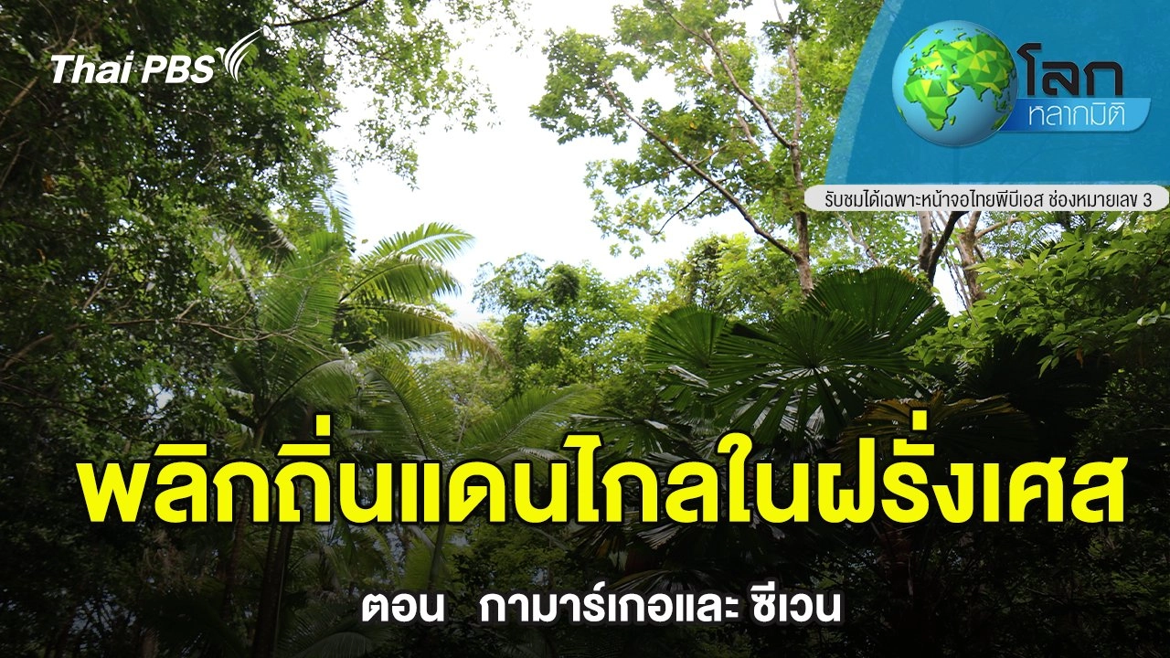 พลิกถิ่นแดนไกลในฝรั่งเศส   ตอน   กามาร์เกอและ ซีเวน