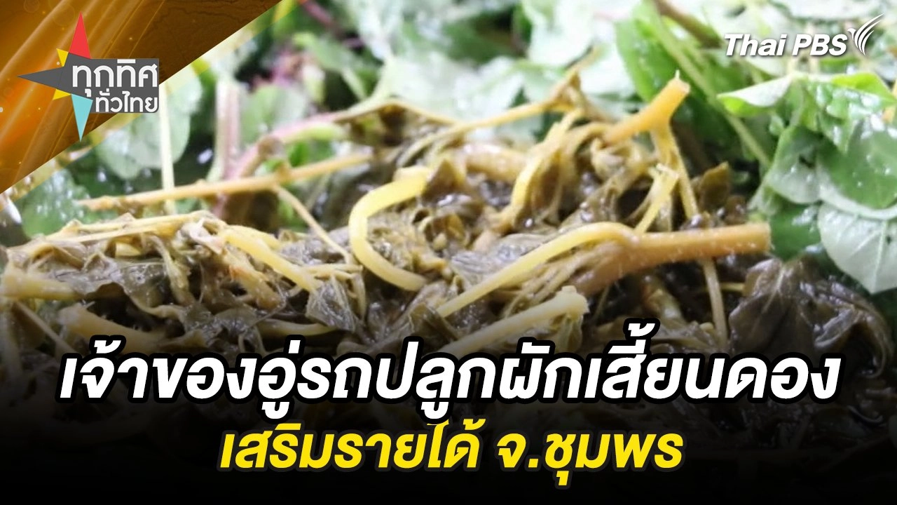 เจ้าของอู่รถปลูกผักเสี้ยนดองเสริมรายได้ จ.ชุมพร