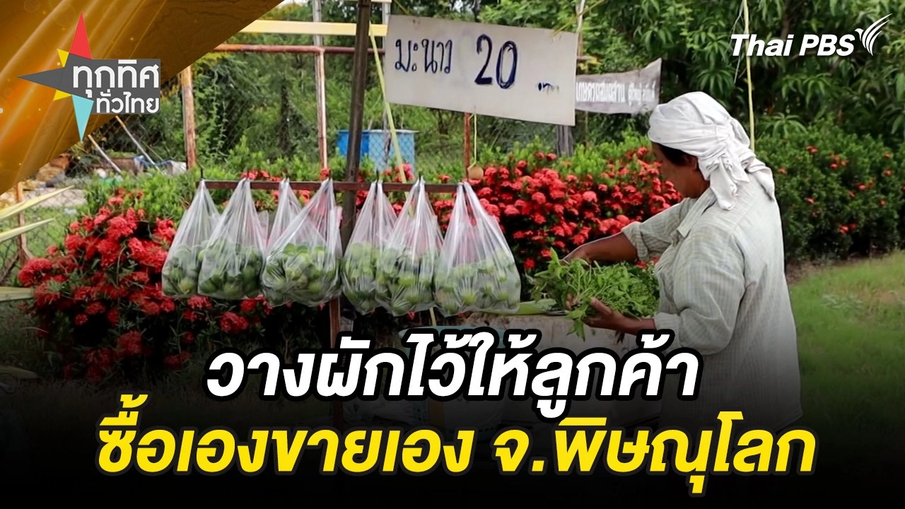 วางผักไว้ให้ลูกค้าซื้อเองขายเอง จ.พิษณุโลก