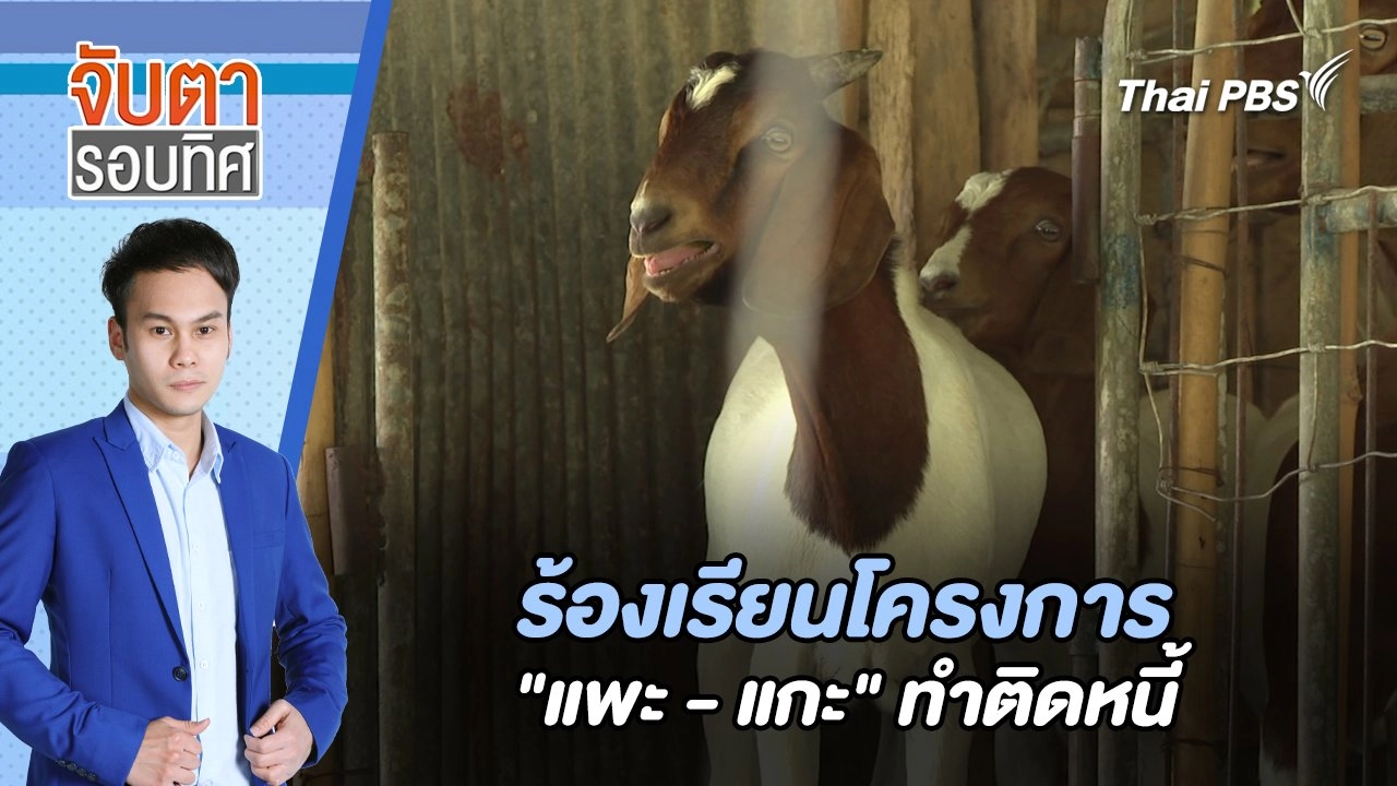 จับตารอบทิศ