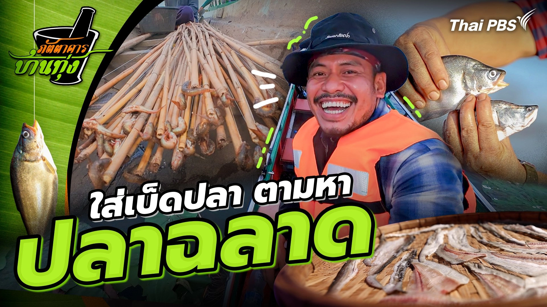 ปลาฉลาด