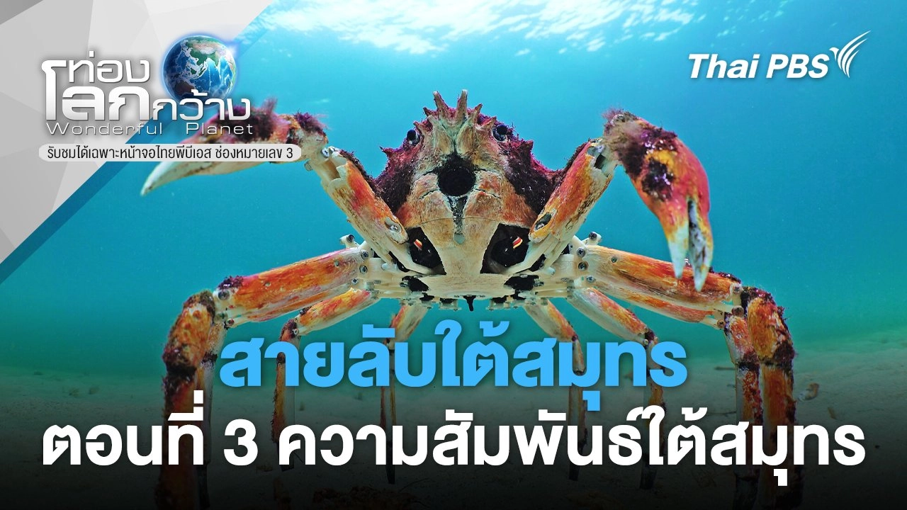 สายลับใต้สมุทร ตอนที่ 3 ความสัมพันธ์ใต้สมุทร