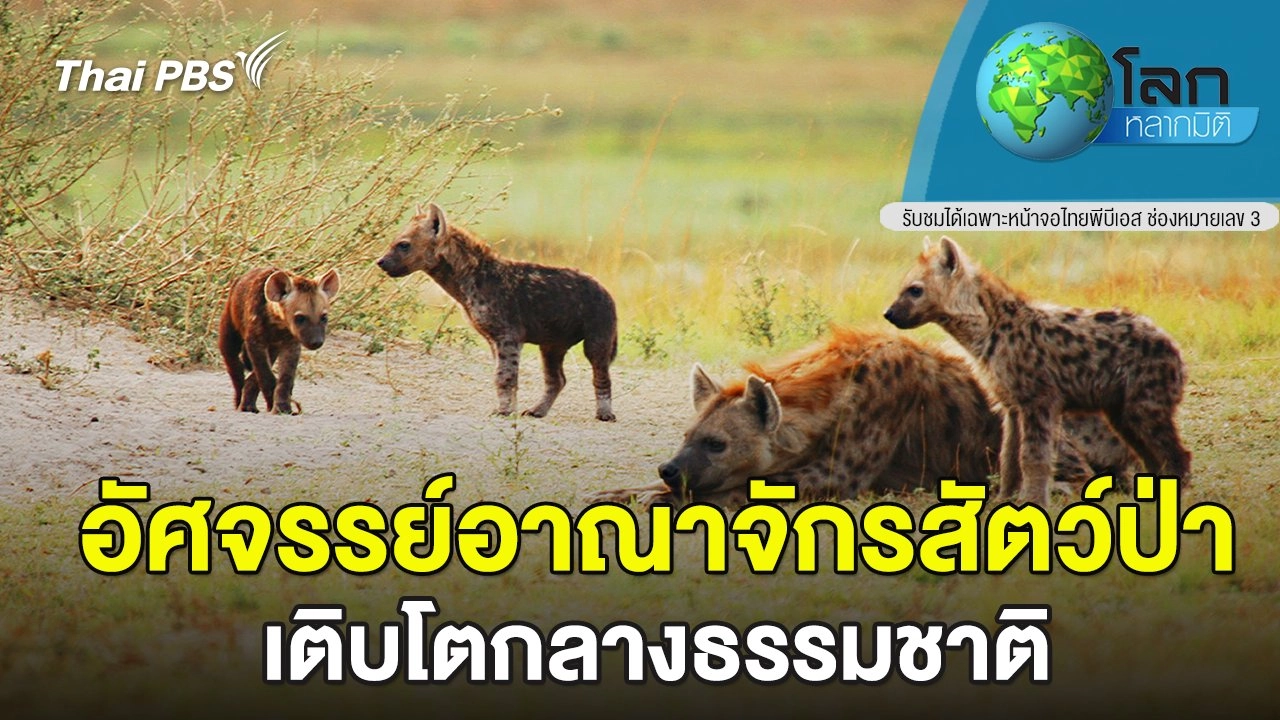 อัศจรรย์อาณาจักรสัตว์ป่า ตอน เติบโตกลางธรรมชาติ